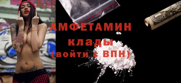 прущие грибы Дмитровск