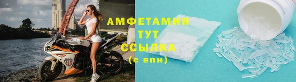 прущие грибы Дмитровск