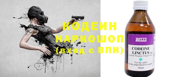 прущие грибы Дмитровск