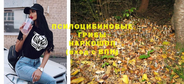 прущие грибы Дмитровск